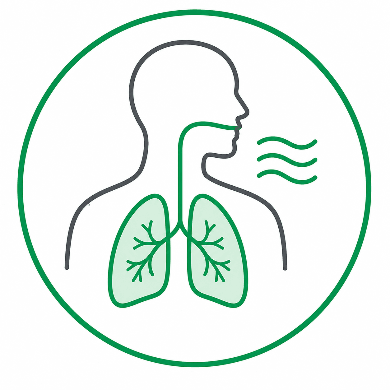 anapnefstiki fisikotherapia
